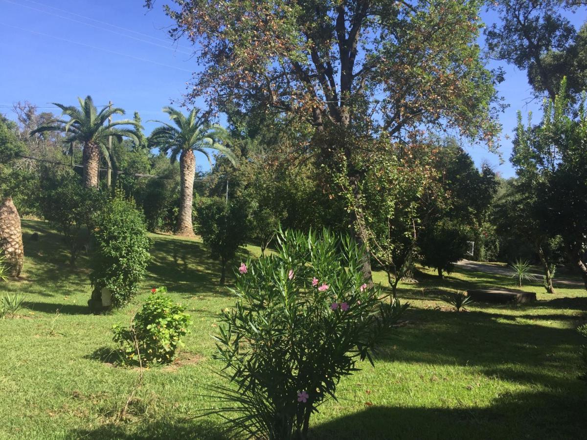 Residence Emilia Santa-Maria-Poggio  Kültér fotó